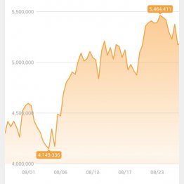 ビットコインの値動き（ビットフライヤーから）