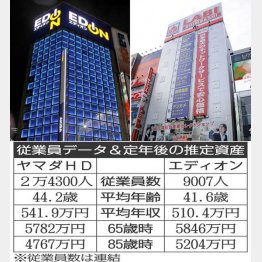 エディオンvsヤマダHD（Ｃ）日刊ゲンダイ