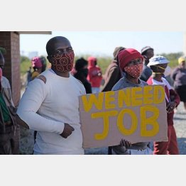 「私たちは仕事を必要としています」／（フェイスブックから）