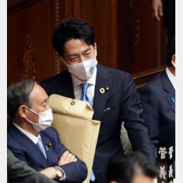 連日、官邸に呼び出し（左から、菅首相と小泉環境相）／（Ｃ）日刊ゲンダイ