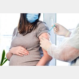 写真はイメージ（Ｃ）iStock