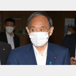 菅首相（Ｃ）日刊ゲンダイ