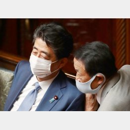 安倍前首相と麻生元首相（Ｃ）日刊ゲンダイ