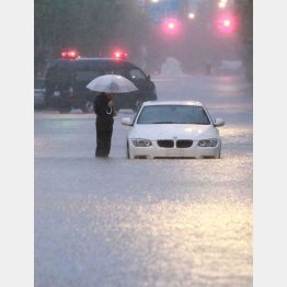 避難は早めに（Ｃ）日刊ゲンダイ