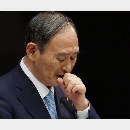 二階幹事長が“菅内閣の生みの親”だけに…？（Ｃ）ＪＭＰＡ