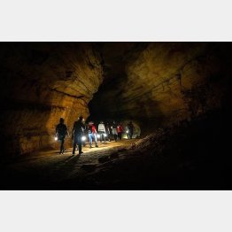 米ケンタッキー州の「マンモス洞窟」／（米「洞窟研究財団」のHPから）