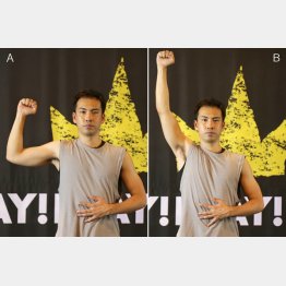 写真A→写真B（写真はおもりを持っていないバージョン）／（Ｃ）日刊ゲンダイ