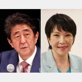 安倍晋三前首相（左）と高市早苗前総務相（Ｃ）日刊ゲンダイ