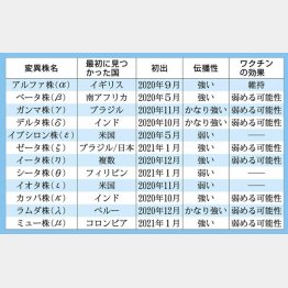 「変異株」が世界で次々と生まれている（Ｃ）日刊ゲンダイ