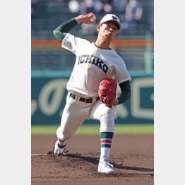 市和歌山・小園健太投手（Ｃ）日刊ゲンダイ