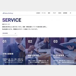 （アイドマHDの公式HP）