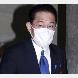 優柔不断な岸田首相に決められるのか（Ｃ）日刊ゲンダイ