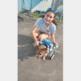 「ホーム・フォー・ライフ・アニマル・サンクチュアリ」のフェイスブックから