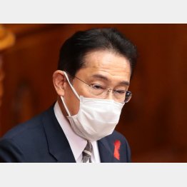 岸田首相（Ｃ）日刊ゲンダイ