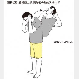 頭板状筋、僧帽筋上部、菱形筋の動的ストレッチ（提供写真）