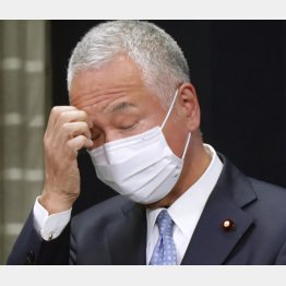 200を超える選挙区で、与野党1対1の構図に…（自民党の甘利明幹事長）／（Ｃ）日刊ゲンダイ