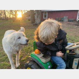 ブリアさんのフェイスブックから