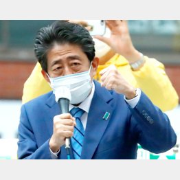 安倍晋三元首相（Ｃ）日刊ゲンダイ