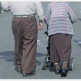 写真はイメージ（Ｃ）日刊ゲンダイ