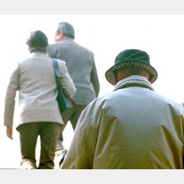 年金は複雑…（Ｃ）日刊ゲンダイ