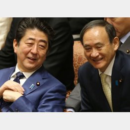 この二人にはしっかり責任をとって欲しい（Ｃ）日刊ゲンダイ