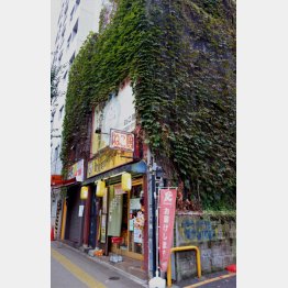 定食屋兼、飲み処「ねこ膳」（提供写真）