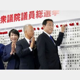 自民党は絶対安定多数の261議席でも…（当確者に花をつける岸田首相）／（Ｃ）ＪＭＰＡ