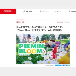 （任天堂のホームページから）