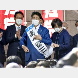 衆院選出陣式で久々のたすき姿の安倍元首相（Ｃ）共同通信社