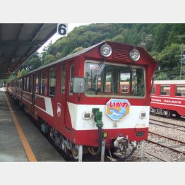 千頭駅で発車を待つ井川線列車（Ｃ）日刊ゲンダイ