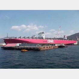 いまはドル箱（Ｃ）日刊ゲンダイ