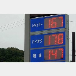 ガソリンは高騰（Ｃ）日刊ゲンダイ