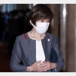 「原則は8カ月」と強調（堀内詔子ワクチン担当相）／（Ｃ）日刊ゲンダイ