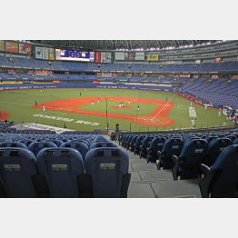 日本シリーズのチケットの転売が問題に…（Ｃ）日刊ゲンダイ