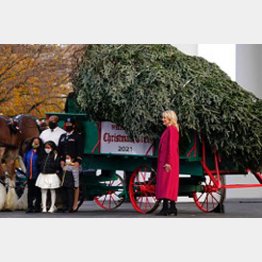 いくら恒例の“ホワイトハウスのクリスマスツリー点灯式”でも仰天（ツイッターから）