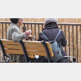 年金事務所などに相談を（写真はイメージ）／（Ｃ）日刊ゲンダイ