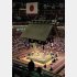 大相撲に与える影響も大きい…（Ｃ）日刊ゲンダイ