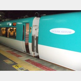 なんとか掴まえたオーシャンアロー（Ｃ）日刊ゲンダイ