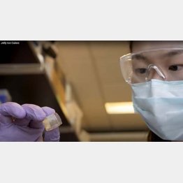 （米カリフォルニア大学デービス校のYouTubeから）