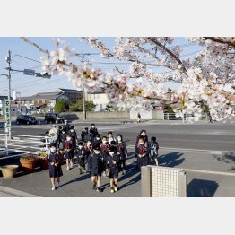 春の新学期は7月までをいうの！？（Ｃ）共同通信社