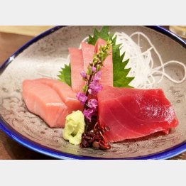 この時期マグロの値段は一気に跳ね上がる