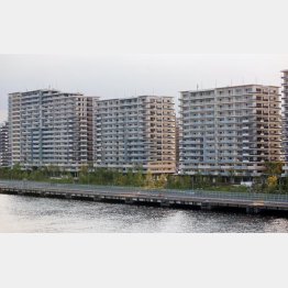 人工島に建つ「晴海フラッグ」／（Ｃ）日刊ゲンダイ