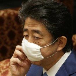 総事業費500億円を投じるも…（Ｃ）日刊ゲンダイ