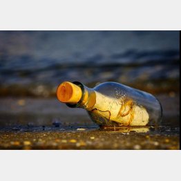 23年目にして、たどり着いたのは…（ツイッターから）