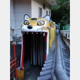 信貴山朝護孫子寺（坂原弘康さん提供）