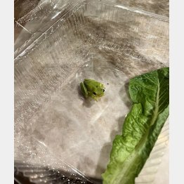 写真①（サイモンさんのツイッターから）