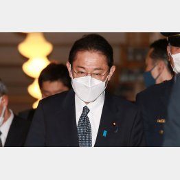 原発推進政権（岸田首相）／（Ｃ）日刊ゲンダイ