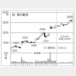 「伯東」の株価チャート（Ｃ）日刊ゲンダイ