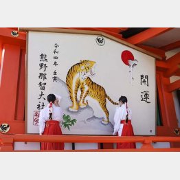 ん？ トラは群れない動物だけど？（Ｃ）共同通信社