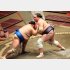 今場所も優勝候補筆頭の照ノ富士（Ｃ）日刊ゲンダイ